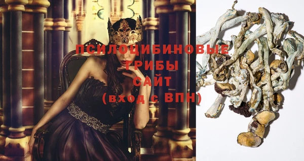 спайс Магас