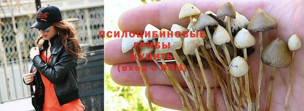 спайс Магас